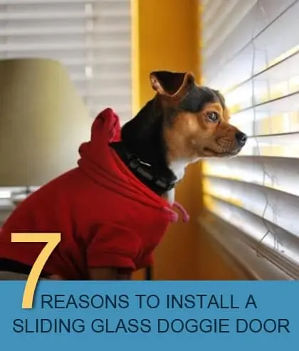 Top 7 Reasons to Install a Sliding Glass Doggie Door