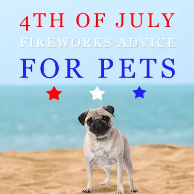 4th of July Fireworks Advice For Pets: Love ‘em Don’t Leave ‘em!