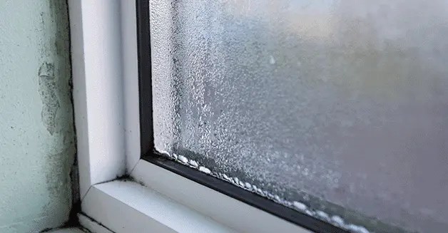 Why Do Windows Fail?
