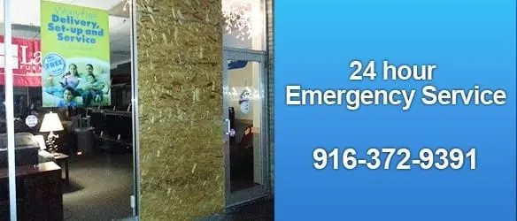 Dog Door Training Made Easy for Any Dog