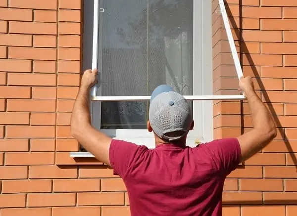 How to Clean Window Screens: The Ultimate Guide