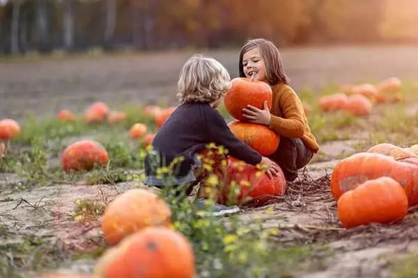 6 Fun Fall Events in Folsom