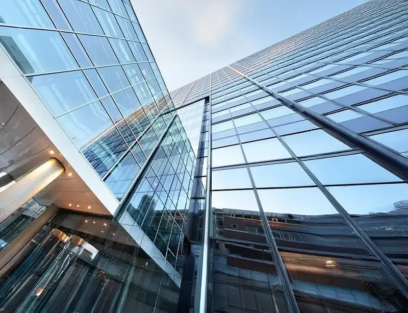 Commercial Windows