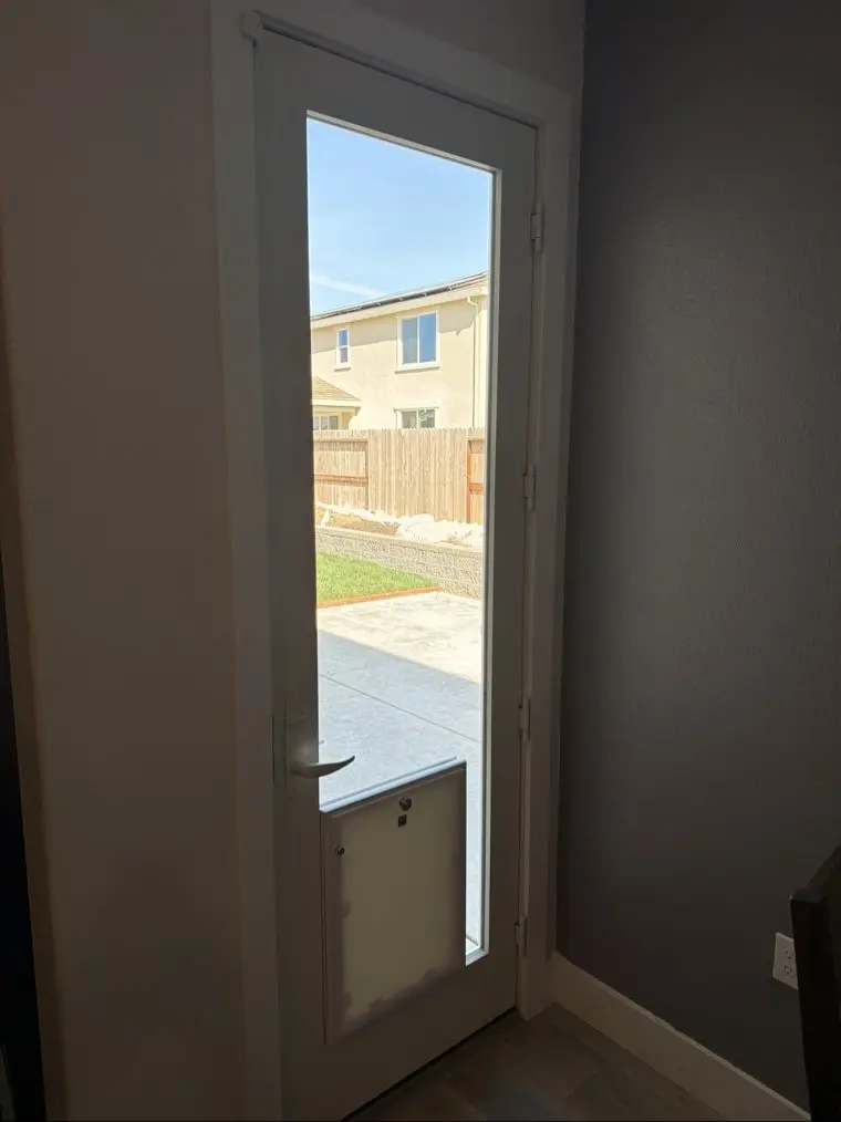 Pet door built into a full-glass hinged door with a security panel