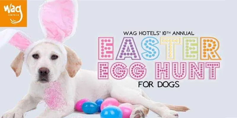 easter egg hunt sacramento 2019