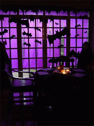 halloween bat window