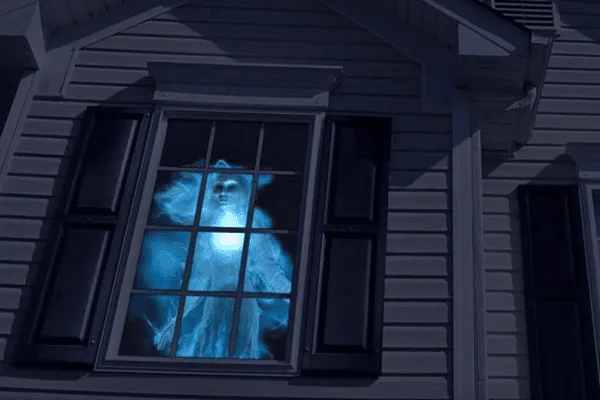 Fall & Halloween Windows decoration