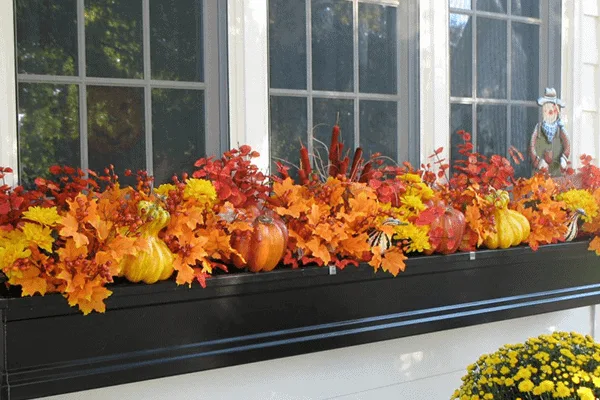 fall window box ideas