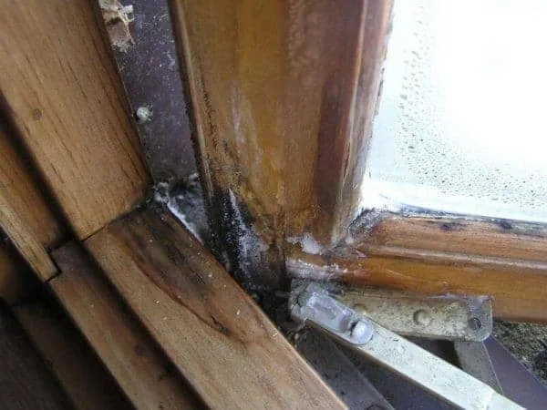 repair or replace windows