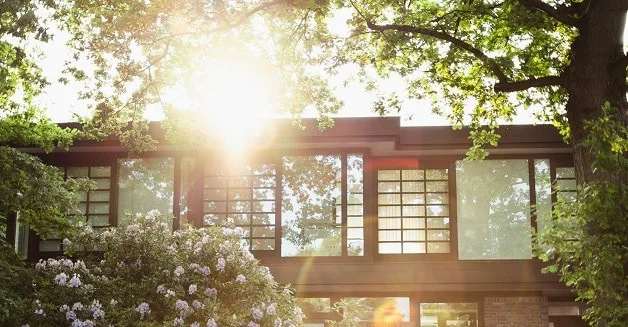 how to maintain wood windows
