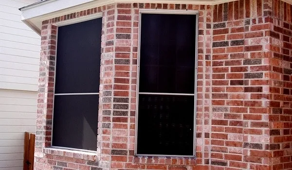 screen options for windows and doors