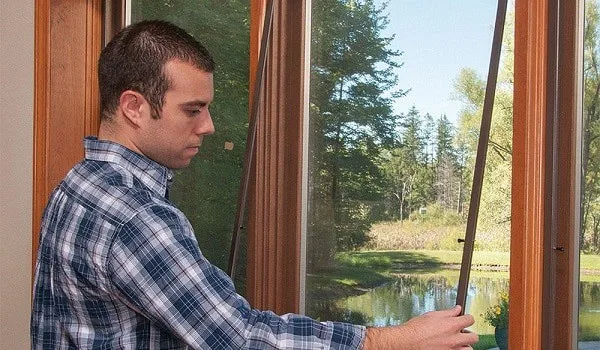 types of window screens