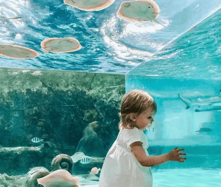 a kid enjoying the underwater view